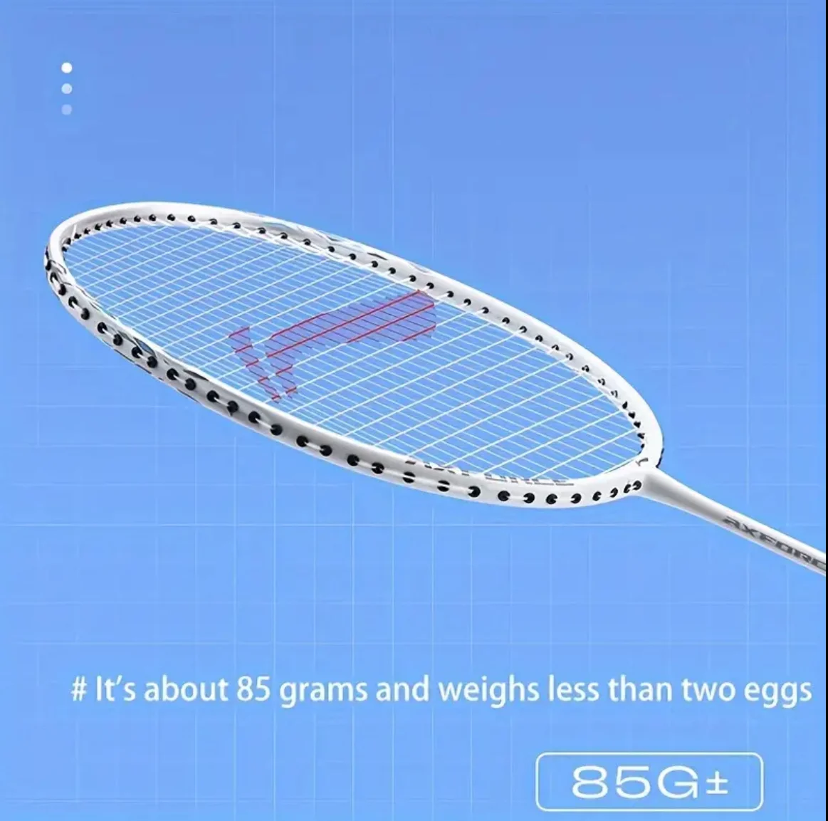 Li Ning Racquet Omega Sports Club